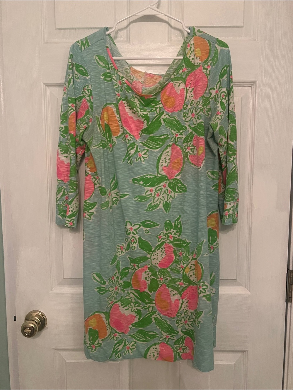 Light Blue Floral Fruit-Print Shift Dress